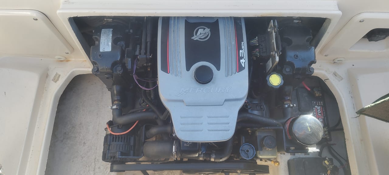 Canestrari Cuddy 215 2008 Mercruiser 220 